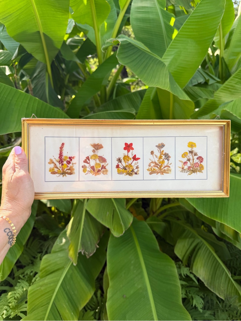 Vintage Pressed Reichlin Switzerland Flower Botanical Framed Wall Art - 15” x 6”